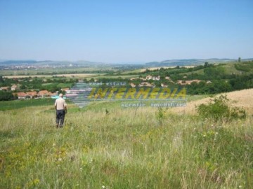 teren-de-vanzare-zona-oarda-920-mp