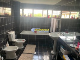 casa-cetate-schit-dp1m-cu-720-mp-teren-la-asfalt-toate-utilitatiile-20