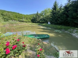 casa-de-vacanta-cu-balta-de-peste-de-vanzare-in-glogovet-valea-lunga-blaj-18