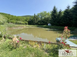 casa-de-vacanta-cu-balta-de-peste-de-vanzare-in-glogovet-valea-lunga-blaj-21
