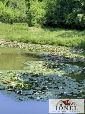 casa-de-vacanta-cu-balta-de-peste-de-vanzare-in-glogovet-valea-lunga-blaj-20