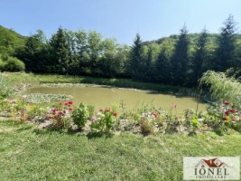 casa-de-vacanta-cu-balta-de-peste-de-vanzare-in-glogovet-valea-lunga-blaj-3