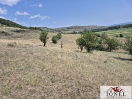 4900-mp-teren-de-vanzare-in-zona-vintu-de-jos-4