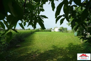 casa-cu-teren-10-arii-cu-casa-pe-cadre-metalice-zona-panait-cerna-11