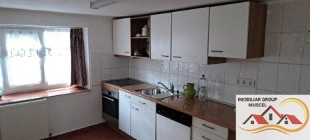 vila-de-vanzare-6-camere-leresti-cu-o-suprafata-de-184-mp-si-teren-intravilan-de-4520-mp-la-pretul-de-105000-euro-negociabil-2