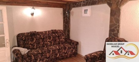 vila-de-vanzare-6-camere-leresti-cu-o-suprafata-de-184-mp-si-teren-intravilan-de-4520-mp-la-pretul-de-105000-euro-negociabil-8