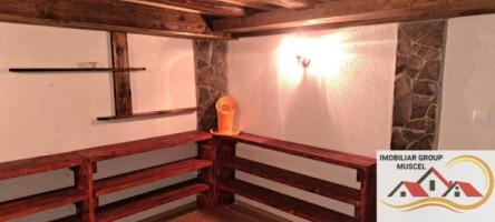 vila-de-vanzare-6-camere-leresti-cu-o-suprafata-de-184-mp-si-teren-intravilan-de-4520-mp-la-pretul-de-105000-euro-negociabil-7