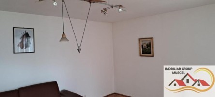 vila-de-vanzare-6-camere-leresti-cu-o-suprafata-de-184-mp-si-teren-intravilan-de-4520-mp-la-pretul-de-105000-euro-negociabil-16