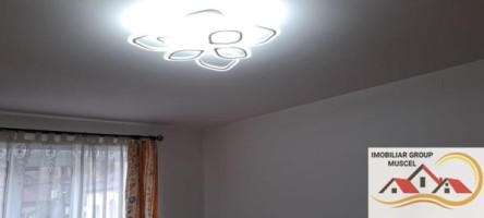 vila-de-vanzare-6-camere-leresti-cu-o-suprafata-de-184-mp-si-teren-intravilan-de-4520-mp-la-pretul-de-105000-euro-negociabil-24