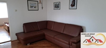 vila-de-vanzare-6-camere-leresti-cu-o-suprafata-de-184-mp-si-teren-intravilan-de-4520-mp-la-pretul-de-105000-euro-negociabil-20
