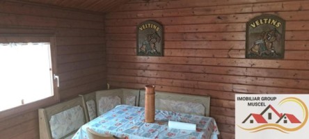 vila-de-vanzare-6-camere-leresti-cu-o-suprafata-de-184-mp-si-teren-intravilan-de-4520-mp-la-pretul-de-105000-euro-negociabil-32