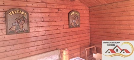 vila-de-vanzare-6-camere-leresti-cu-o-suprafata-de-184-mp-si-teren-intravilan-de-4520-mp-la-pretul-de-105000-euro-negociabil-34