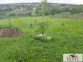 teren-intravilan-de-vanzare-in-henig