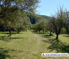 vand-teren-4200-mp-intravilan-valea-barbusii-campulung-muscel-arges-2