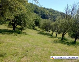 vand-teren-4200-mp-intravilan-valea-barbusii-campulung-muscel-arges-3