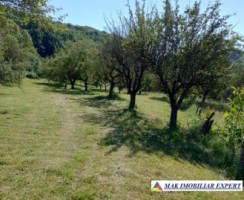 vand-teren-4200-mp-intravilan-valea-barbusii-campulung-muscel-arges-5