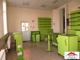 casa-mare-cu-teren-1174-mp-zona-titulescu-14