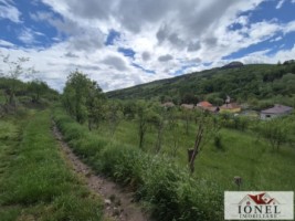 teren-intravilan-de-vanzare-in-metes-ampoita-1