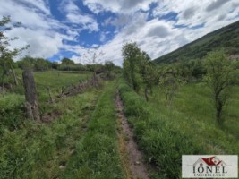 teren-intravilan-de-vanzare-in-metes-ampoita-3