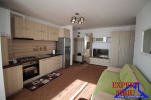 inchiriez-apartament-2-camere-recent-renovat-zona-kaufland
