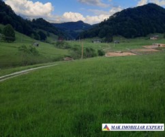 vand-loturi-de-teren-la-munte-42-ha-in-dambovicioara-ciocanu-satic-arges-si-predelut-fundata-brasov-1