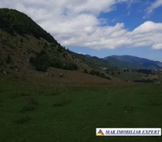 vand-loturi-de-teren-la-munte-42-ha-in-dambovicioara-ciocanu-satic-arges-si-predelut-fundata-brasov-0