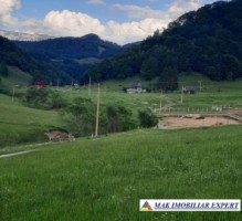 vand-loturi-de-teren-la-munte-42-ha-in-dambovicioara-ciocanu-satic-arges-si-predelut-fundata-brasov-4