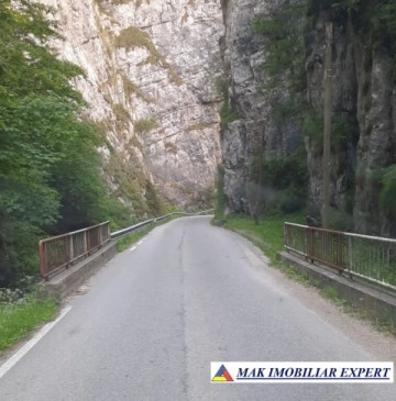vand-loturi-de-teren-la-munte-42-ha-in-dambovicioara-ciocanu-satic-arges-si-predelut-fundata-brasov-5
