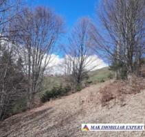 vand-loturi-de-teren-la-munte-42-ha-in-dambovicioara-ciocanu-satic-arges-si-predelut-fundata-brasov-6