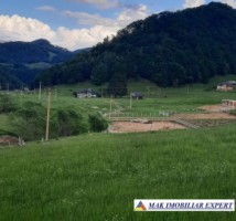 vand-loturi-de-teren-la-munte-42-ha-in-dambovicioara-ciocanu-satic-arges-si-predelut-fundata-brasov-7