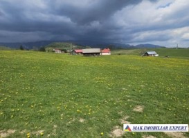 teren-6600-mp-extravilan-sirnea-brasov-ciocanu-dambovicioara-arges-2