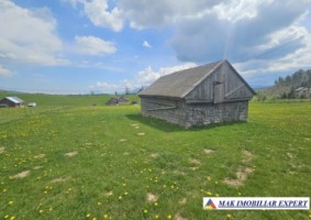 teren-6600-mp-extravilan-sirnea-brasov-ciocanu-dambovicioara-arges-0