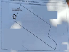 paulesti-ter-intrav-939mp-d-21ml-cu-casa-demolabila-utilit-in-curte-135000-euro