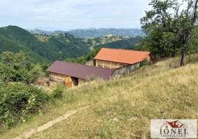 casa-de-vanzare-in-comuna-sasciori-cu-87271-mp-teren