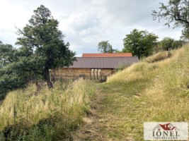 casa-de-vanzare-in-comuna-sasciori-cu-87271-mp-teren-9