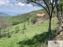 casa-de-vanzare-in-comuna-sasciori-cu-87271-mp-teren-10