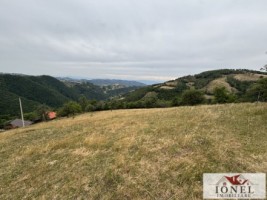 casa-de-vanzare-in-comuna-sasciori-cu-87271-mp-teren-11