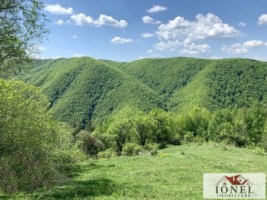 casa-de-vanzare-in-comuna-sasciori-cu-87271-mp-teren-12