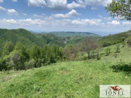 casa-de-vanzare-in-comuna-sasciori-cu-87271-mp-teren-14