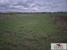 teren-intravilan-de-vanzare-in-craciunelu-de-jos-2