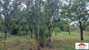 casa-parter-si-mansarda-zona-unirii-dara-cu-teren-8