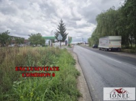 teren-intravilan-de-vanzare-in-craciunelu-de-jos