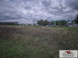 teren-intravilan-de-vanzare-in-craciunelu-de-jos-4