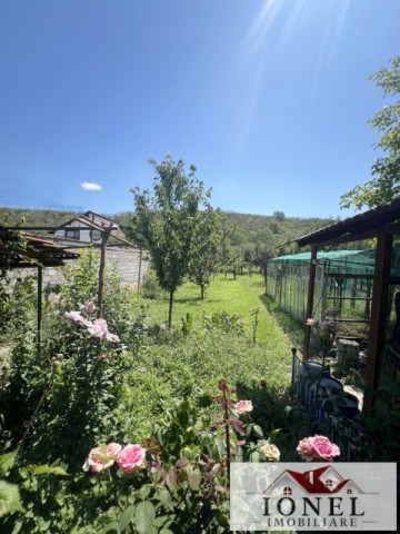 vanzare-casa-in-ciugud-13