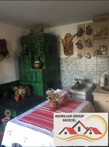 casa-de-vacanta-3-camere-pe-si-teren-intravilan-in-suprafata-de-1300-mp-in-comuna-bughea-de-jos-pret-60000-euro-negociabil-5