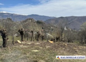 vand-teren-2500-mp-intravilan-in-nucsoara-arges-2
