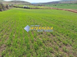 teren-extravilan-52600-mp-deschidere-500-m-la-drum-asfaltat-utilitati-langa-aprope-de-autostrada