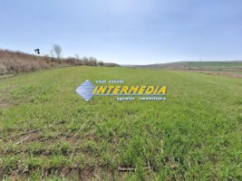teren-extravilan-52600-mp-deschidere-500-m-la-drum-asfaltat-utilitati-langa-aprope-de-autostrada-1
