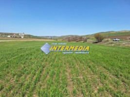 teren-extravilan-52600-mp-deschidere-500-m-la-drum-asfaltat-utilitati-langa-aprope-de-autostrada-4