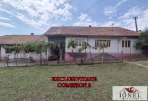 vanzare-casa-in-henig